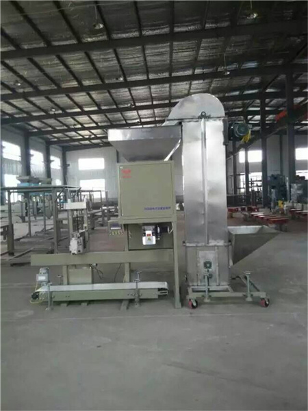 斗式提升機(jī)